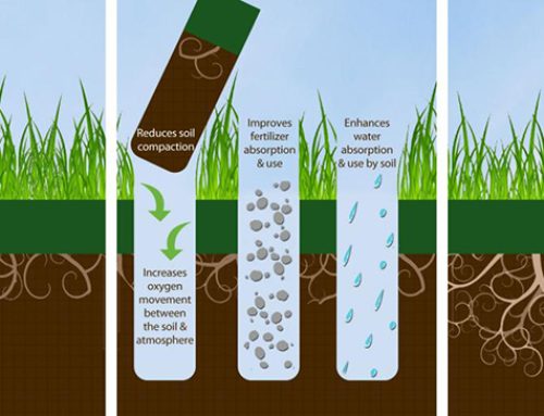 Benefits of Core Aeration and Overseeding