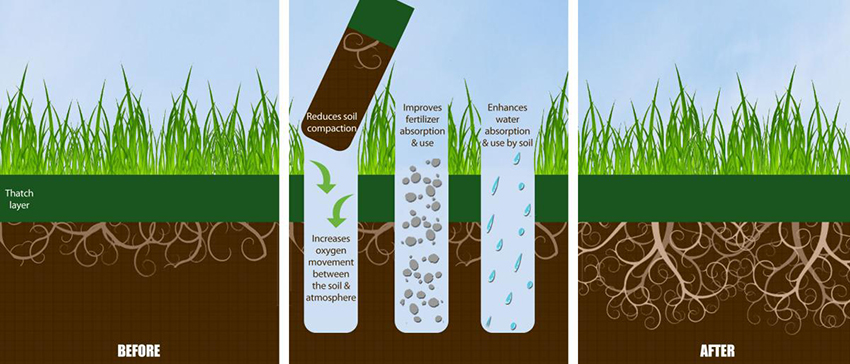Benefits of Core Aeration and Overseeding