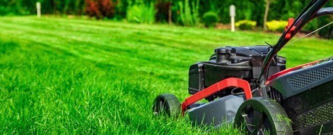 Lawn care