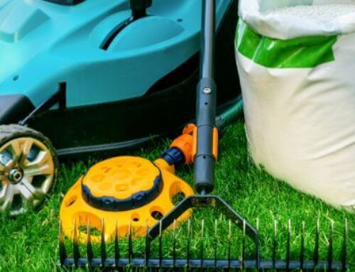 Everything You Should Know About Efficient Lawn Care in Sussex County, NJ