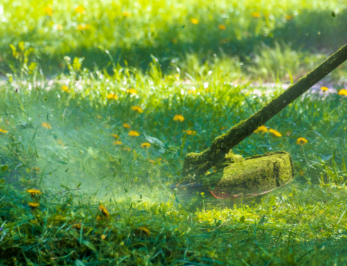 Lawn Treatment, NJ – What Is It and Why Is It Important?