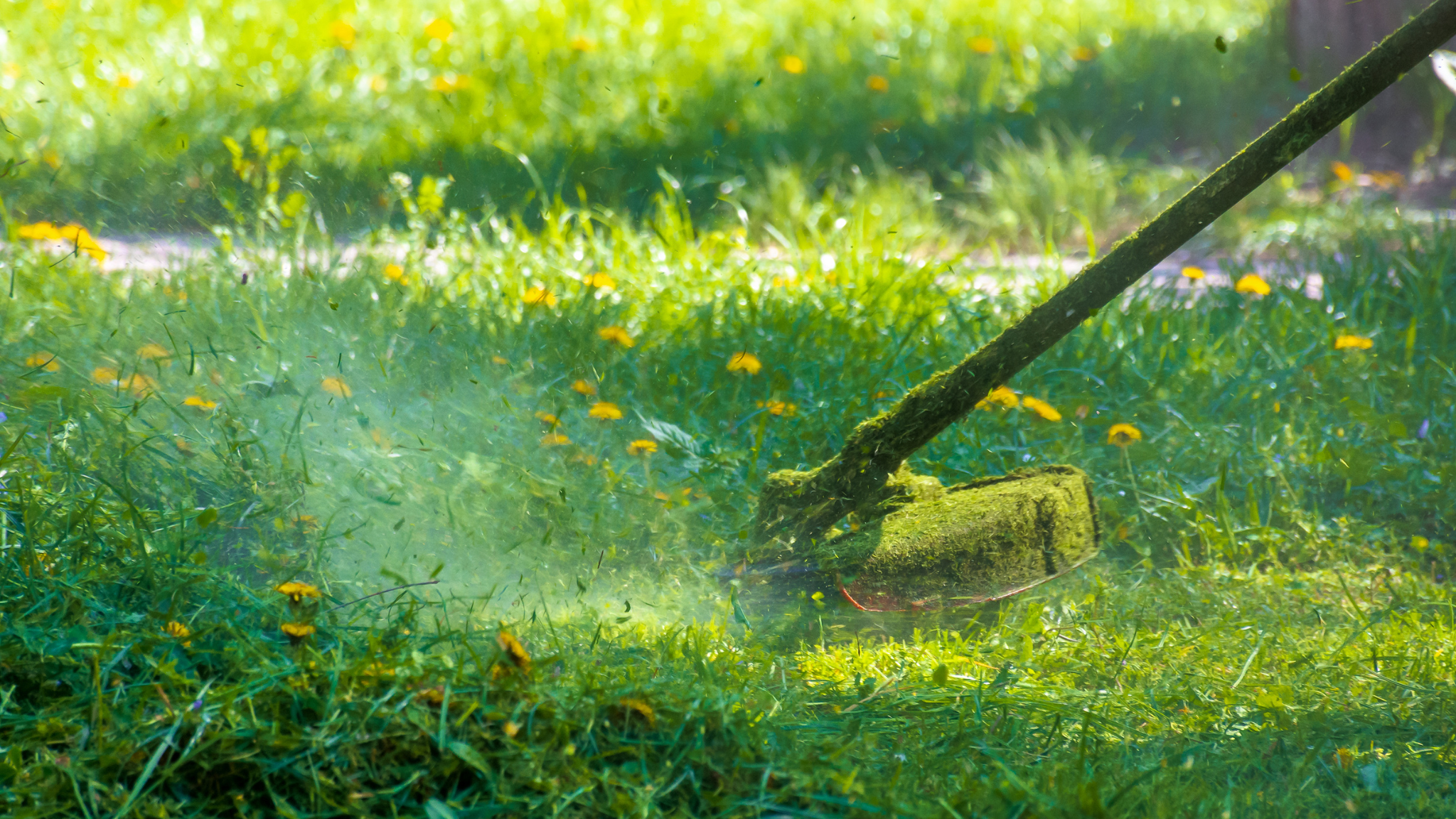 Lawn Treatment, NJ – What Is It and Why Is It Important