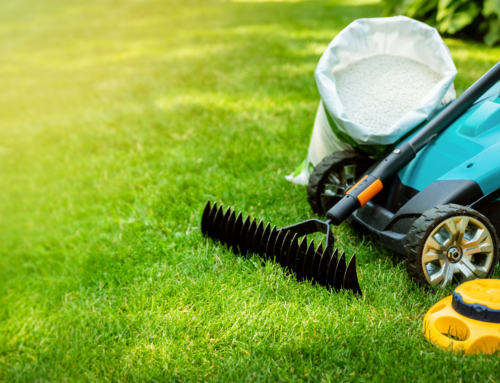 What Is the Best Time To Seed Lawn in NJ? Find Out Here!