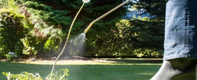 Lawn Treatment Guide