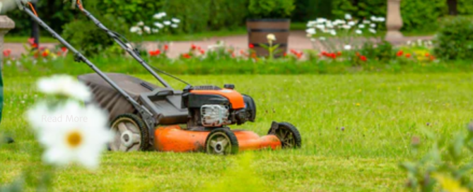 lawn care treatment service
