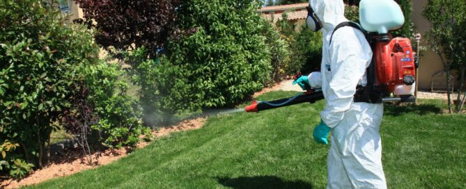 lawn treatment services