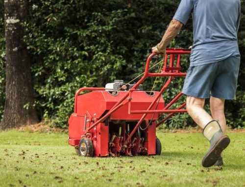 When Should You Aerate Your Lawn? A Complete Core Aeration Guide