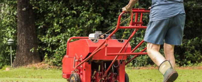 core aeration and overseeding